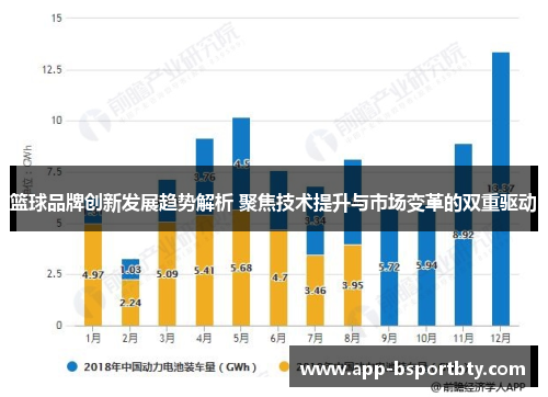 篮球品牌创新发展趋势解析 聚焦技术提升与市场变革的双重驱动