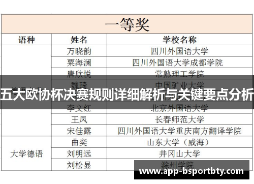 五大欧协杯决赛规则详细解析与关键要点分析