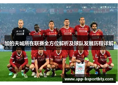 加的夫城所在联赛全方位解析及球队发展历程详解