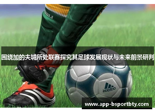 围绕加的夫城所处联赛探究其足球发展现状与未来前景研判
