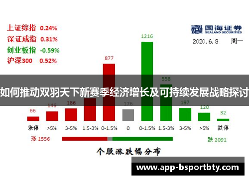 如何推动双羽天下新赛季经济增长及可持续发展战略探讨